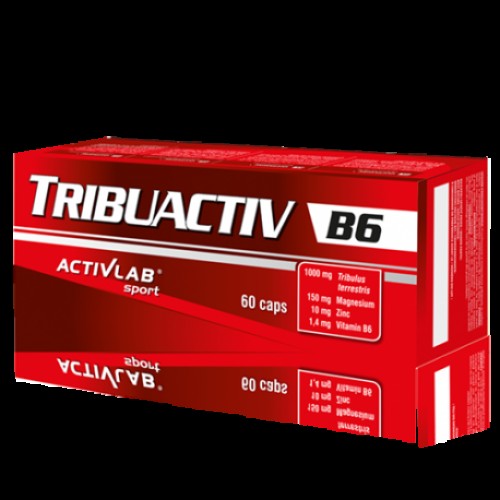 Актив лаб. Activlab Tribuactiv b6. ZMA Activlab. Activlab Vitality Complex 60 капс. Activlab Pharma Magne b6.